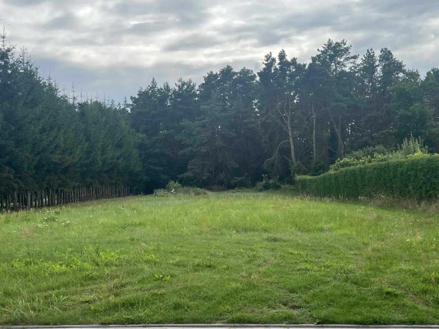 Działka budowlana Mieszkowice, ul. Moryńska. Zdjęcie 1