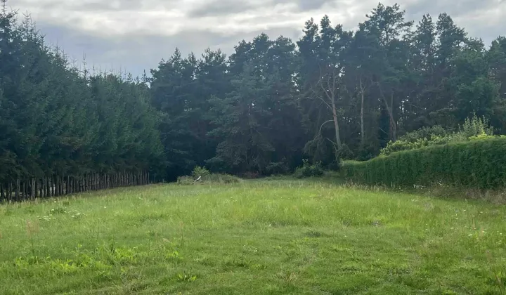 Działka budowlana Mieszkowice, ul. Moryńska