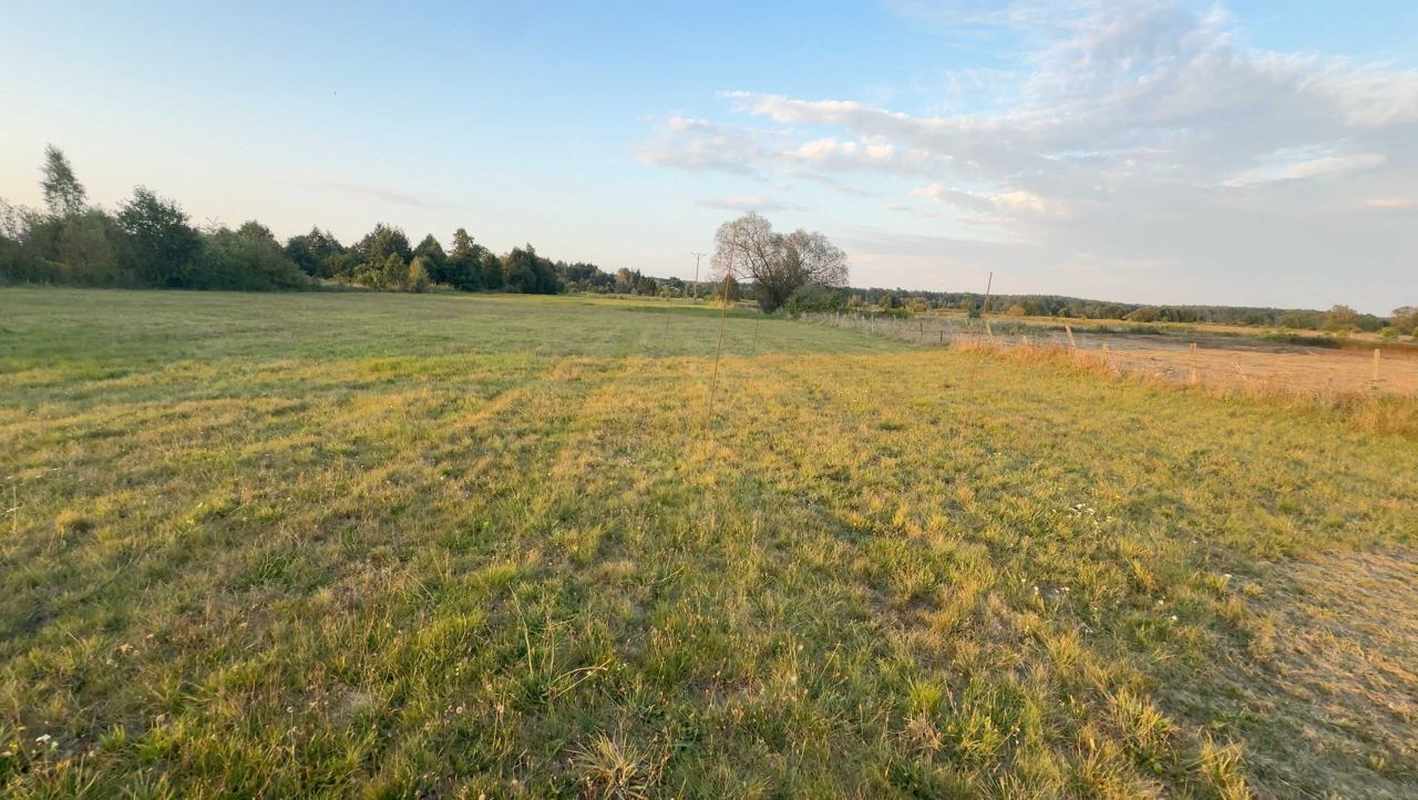 Działka rolna Stary Kraszew. Zdjęcie 4