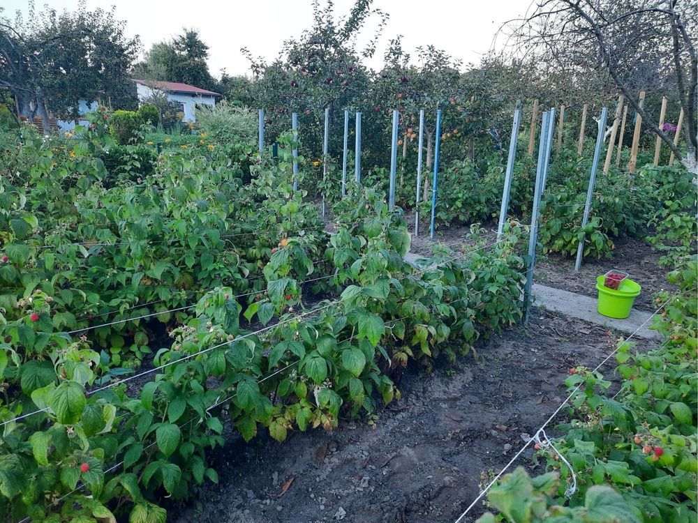 Działka rod Lębork. Zdjęcie 2