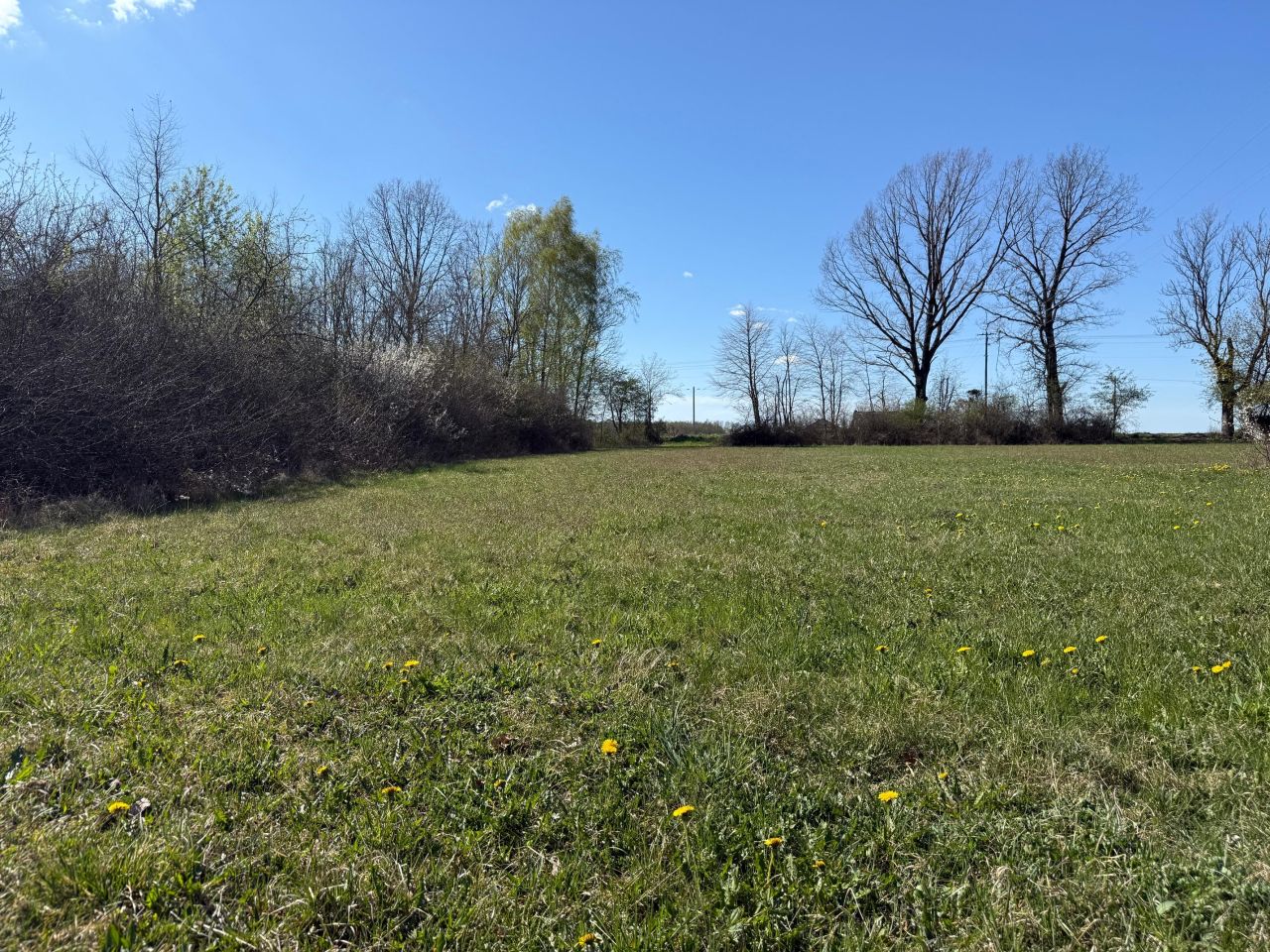 Działka budowlana Ruchenka, ul. Lipowa. Zdjęcie 4