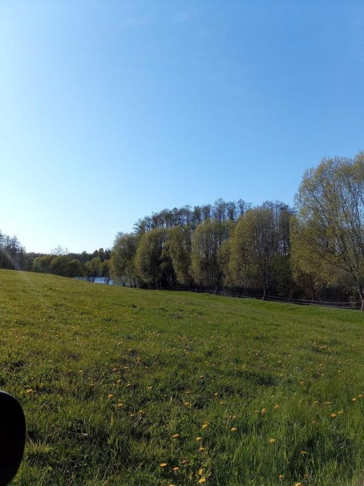 Działka rolna Donatowo. Zdjęcie 8