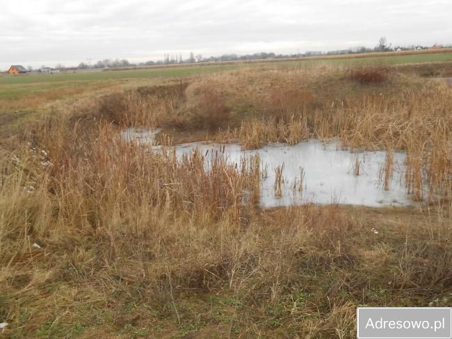 Działka rolna Żaby. Zdjęcie 3