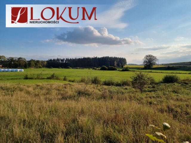Działka budowlana Lipusz. Zdjęcie 6