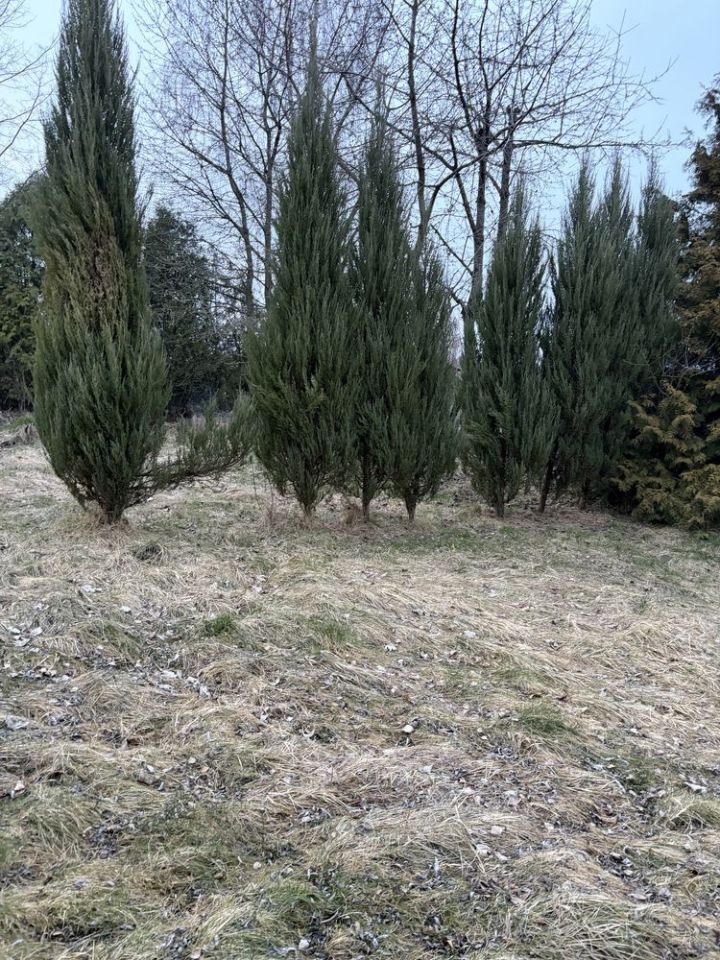 Działka budowlana Waśniów. Zdjęcie 5