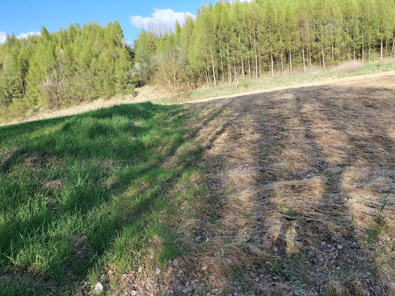 Działka rolna Kościejów, droga po działce 682. Zdjęcie 3