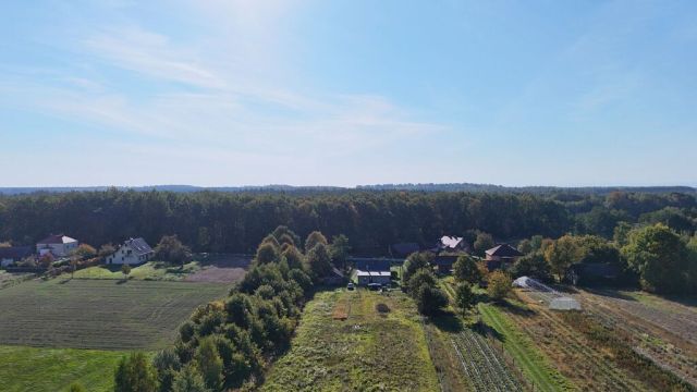 Działka Gwizdów. Zdjęcie 4