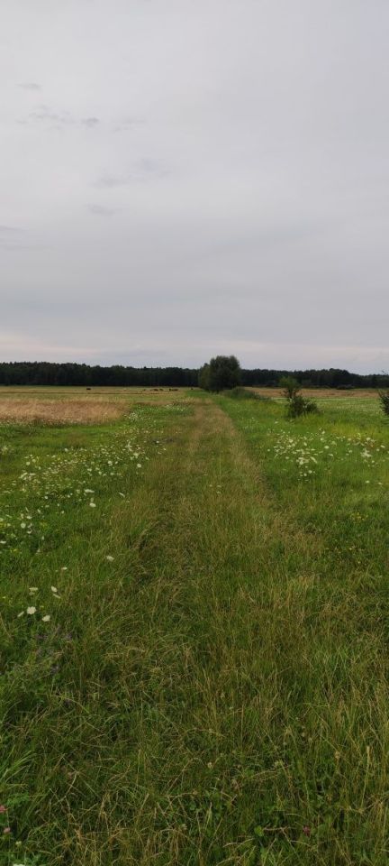 Działka rolno-budowlana Zalesie