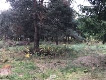 Działka budowlana Ruda, ul. Ogrodowa. Zdjęcie 2