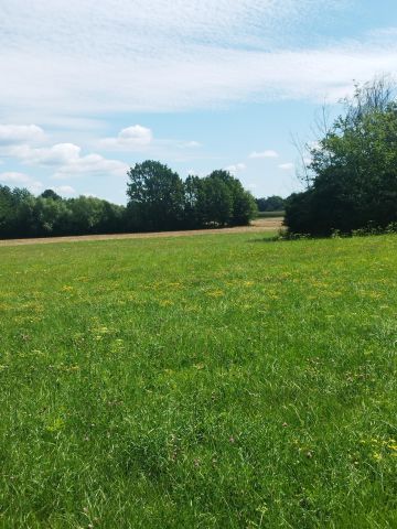 Działka budowlana Sobolew, ul. Podlasie. Zdjęcie 4
