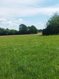 Działka budowlana Sobolew, ul. Podlasie. Zdjęcie 3