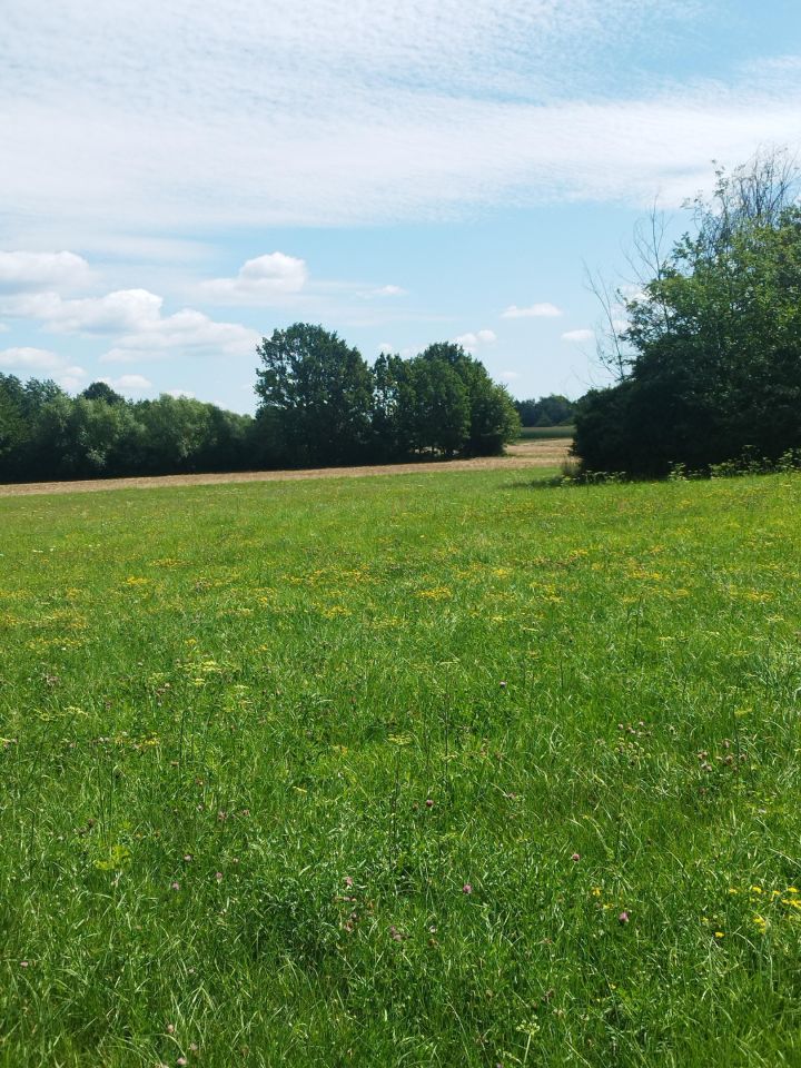Działka budowlana Sobolew, ul. Podlasie. Zdjęcie 4