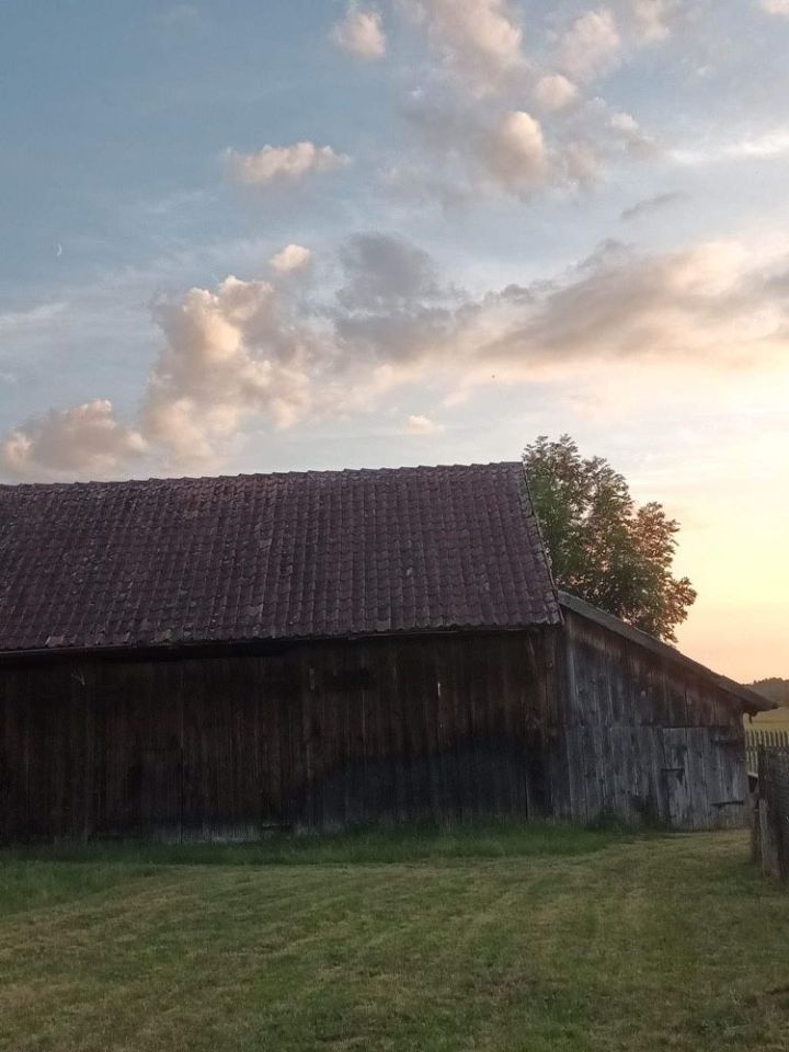 siedlisko Kolonia. Zdjęcie 5