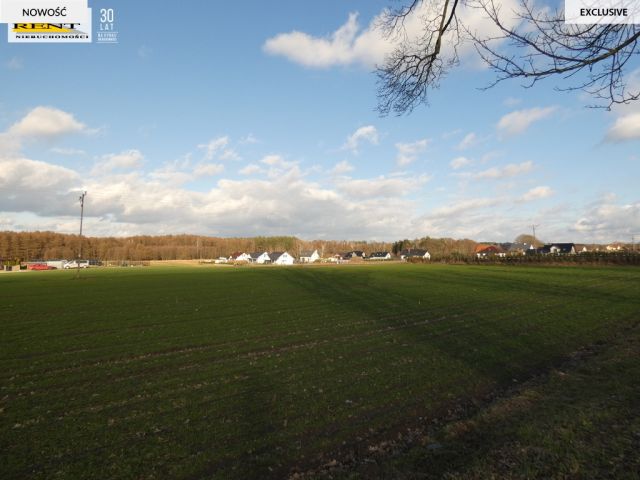 Działka budowlana Budno. Zdjęcie 6