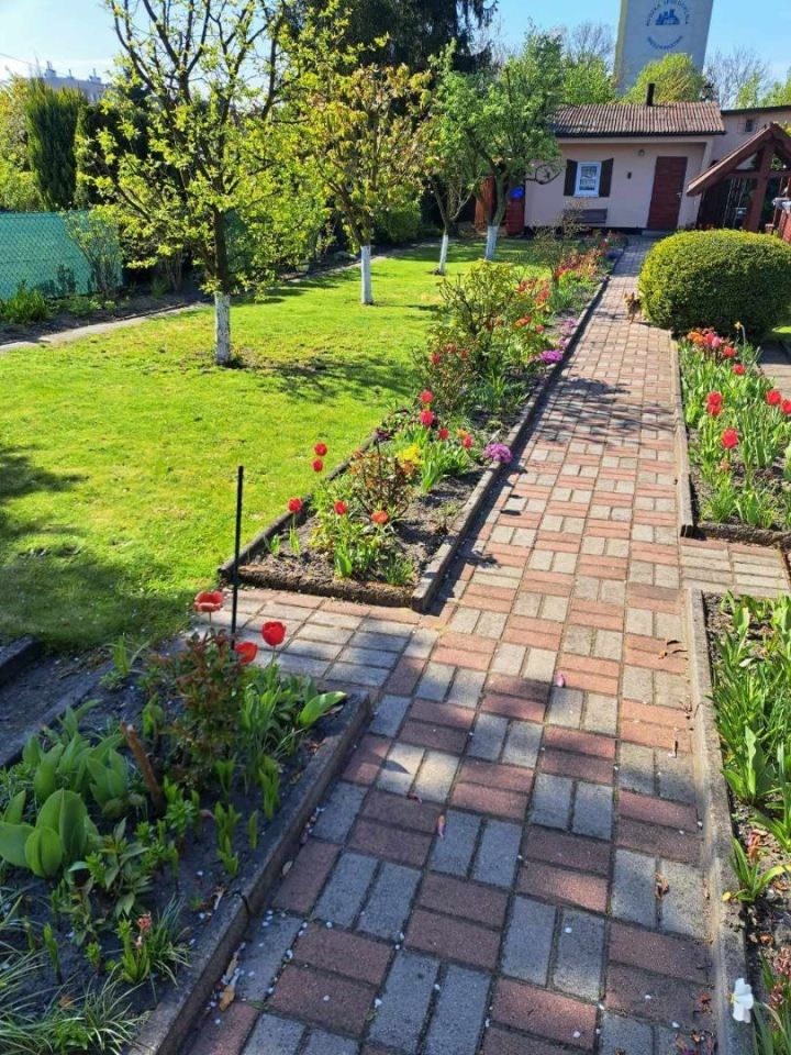 Działka rekreacyjna Ruda Śląska, ul. Szpitalna. Zdjęcie 8