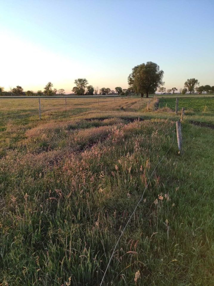 Działka budowlana Karkoszów. Zdjęcie 3