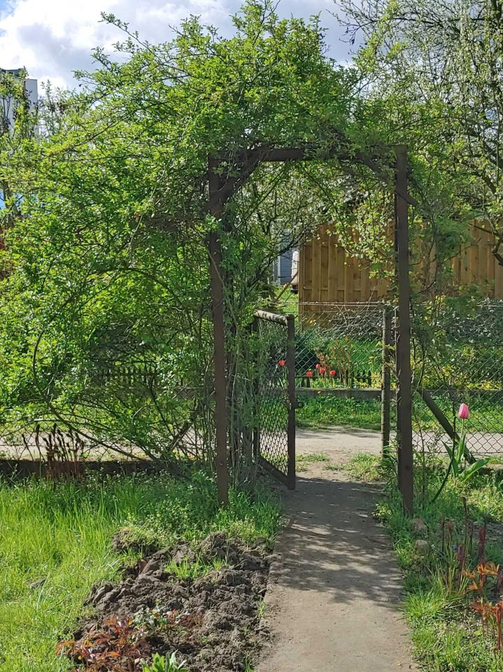 Działka rod Wrocław Psie Pole, ul. Henryka Michała Kamieńskiego. Zdjęcie 2