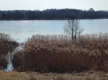 Działka rolno-budowlana Golubie. Zdjęcie 1