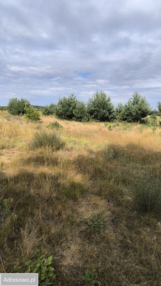 Działka rolno-budowlana Miękoszyn. Zdjęcie 5