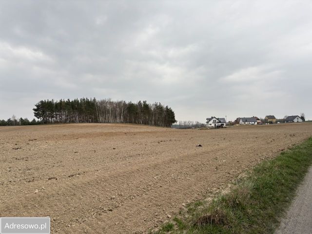 Działka rolna Gardeja, ul. Sportowa. Zdjęcie 1
