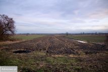 dom wolnostojący, 2 pokoje Podrwinów. Zdjęcie 4