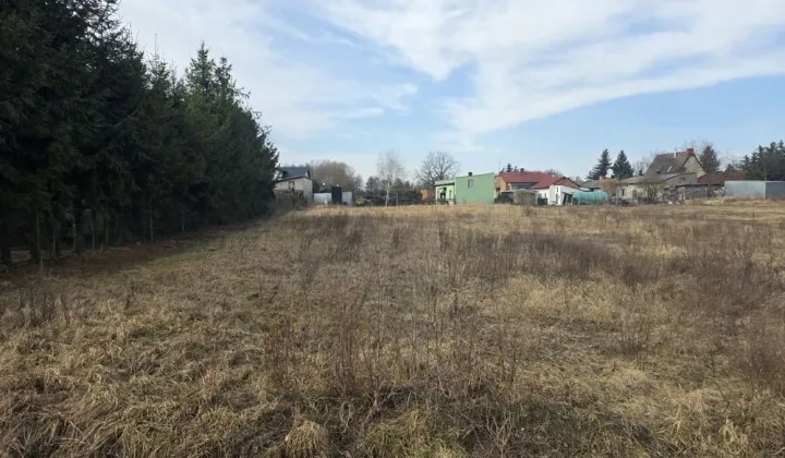 Działka budowlana Trębaczew