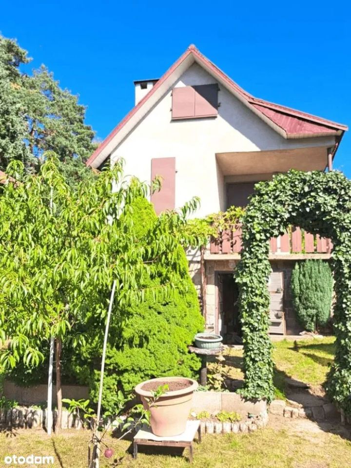 Działka rod Gdańsk Morena, ul. Wołkowyska. Zdjęcie 9