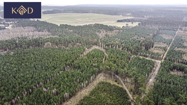 Działka inwestycyjna Dąbrowa Nowa. Zdjęcie 19
