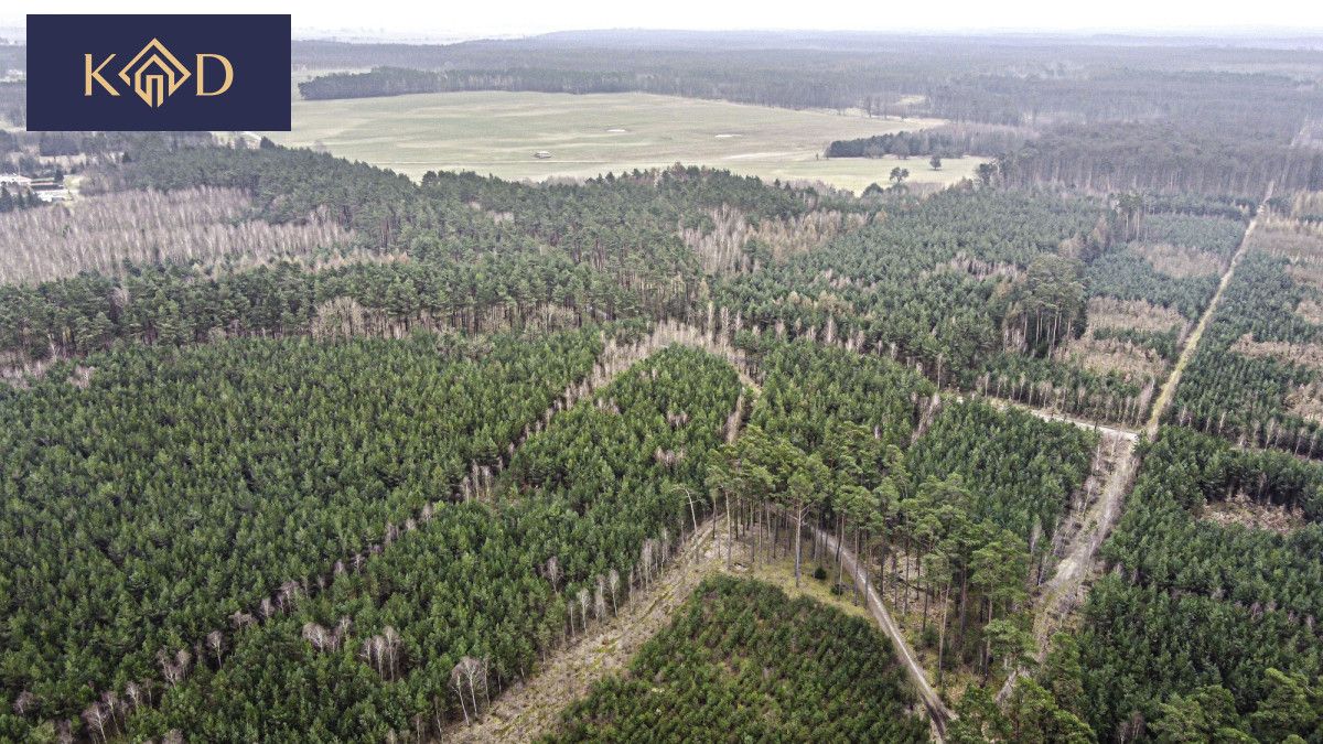 Działka inwestycyjna Dąbrowa Nowa. Zdjęcie 19