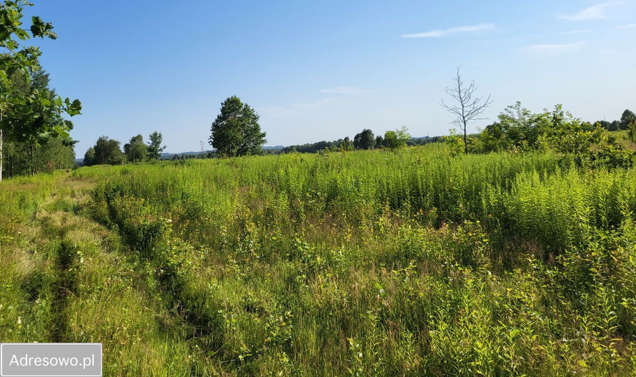 Działka budowlana Własna. Zdjęcie 11