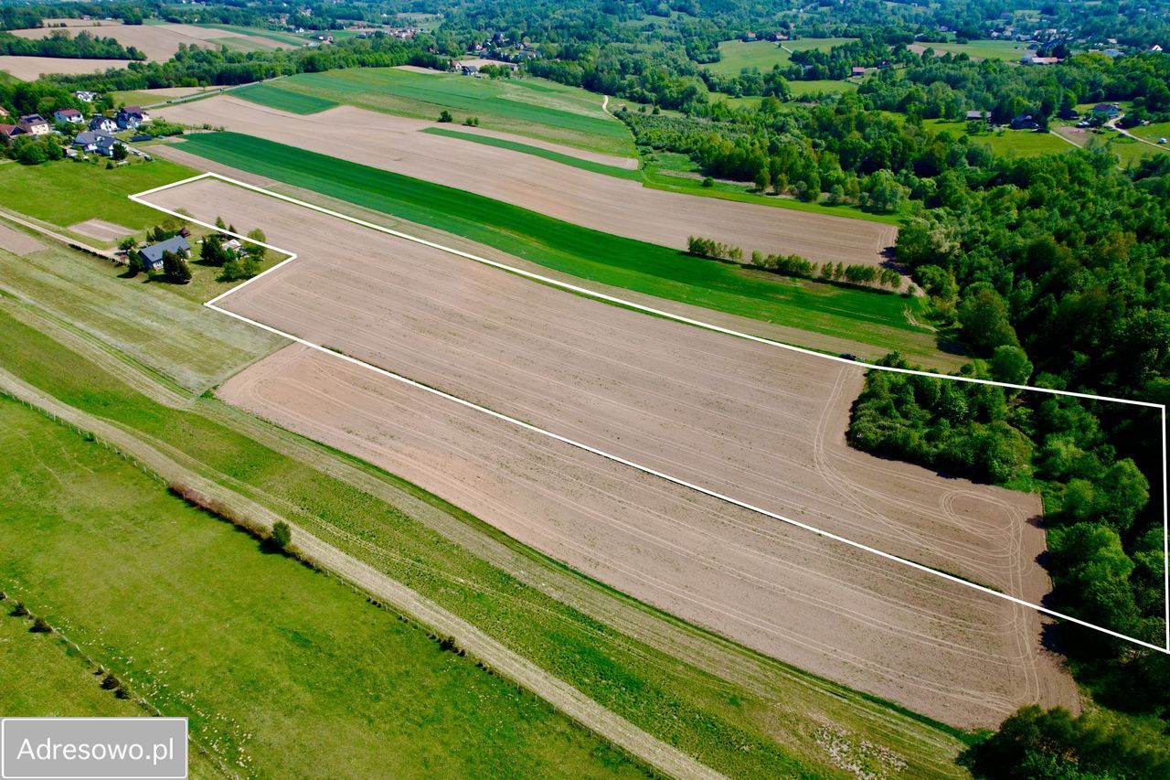 Działka rolno-budowlana Tłuczań. Zdjęcie 2