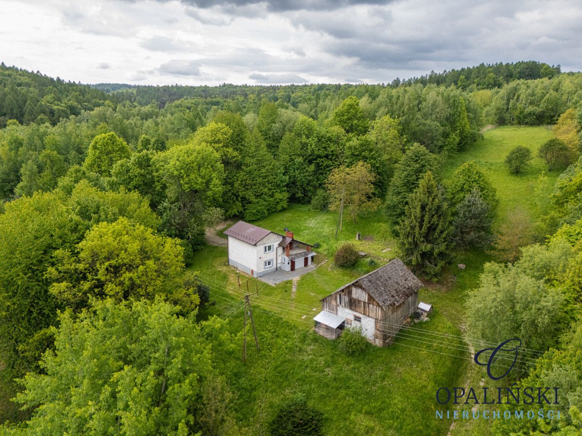 dom wolnostojący, 4 pokoje Łopuszka Wielka. Zdjęcie 2