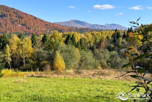Działka rolna Krzywe. Zdjęcie 2