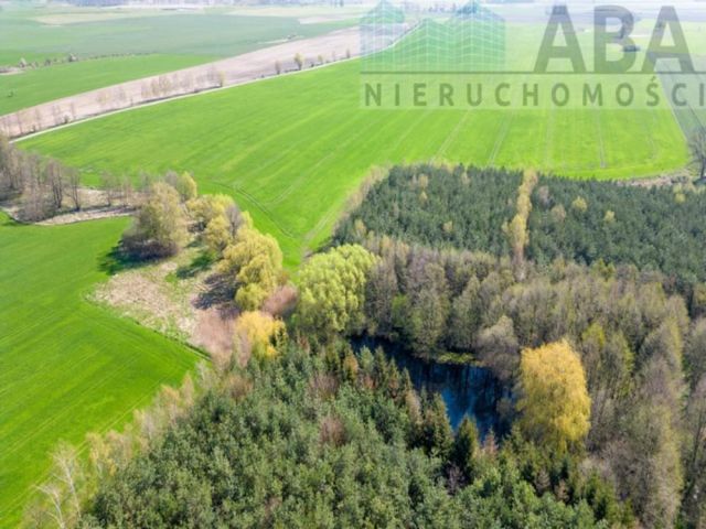 Działka budowlana Turostówko. Zdjęcie 6