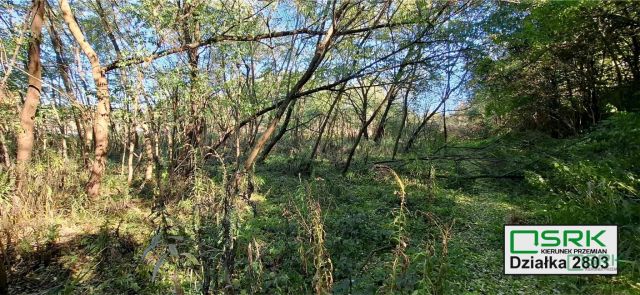 Działka inna Sosnowiec Milowice, ul. Krzysztofa Kamila Baczyńskiego. Zdjęcie 7