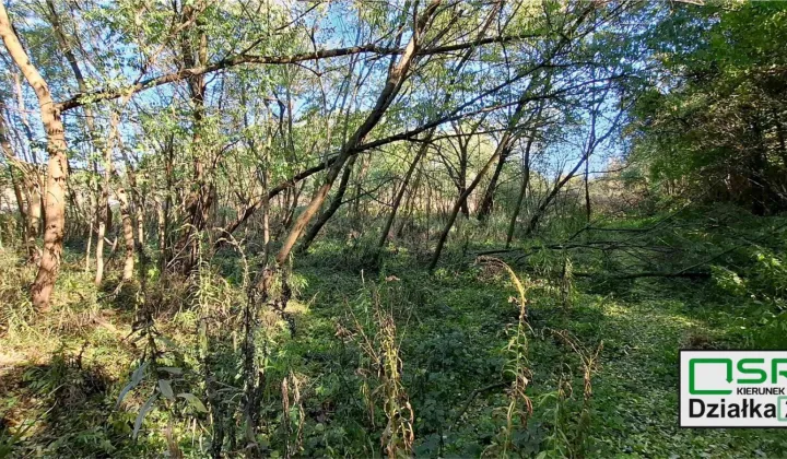 Działka inna Sosnowiec Milowice, ul. Krzysztofa Kamila Baczyńskiego