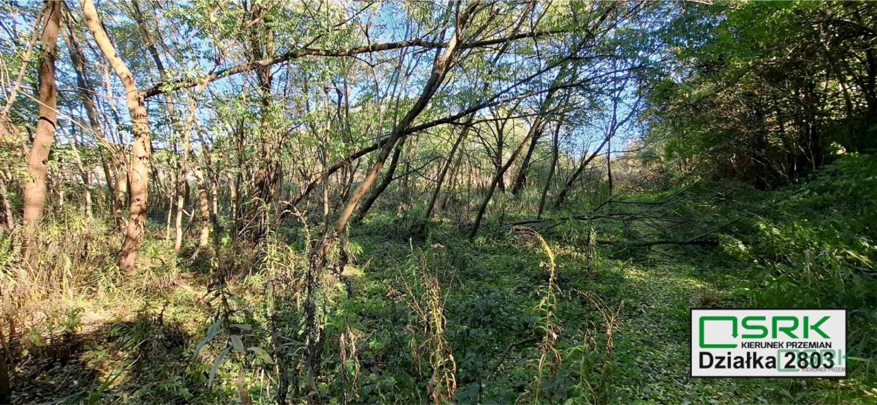 Działka inna Sosnowiec Milowice, ul. Krzysztofa Kamila Baczyńskiego. Zdjęcie 7