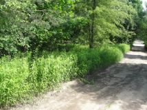 Działka budowlana Warszawa Aleksandrów Pierwszy, ul. Aleksandry Śląskiej. Zdjęcie 3