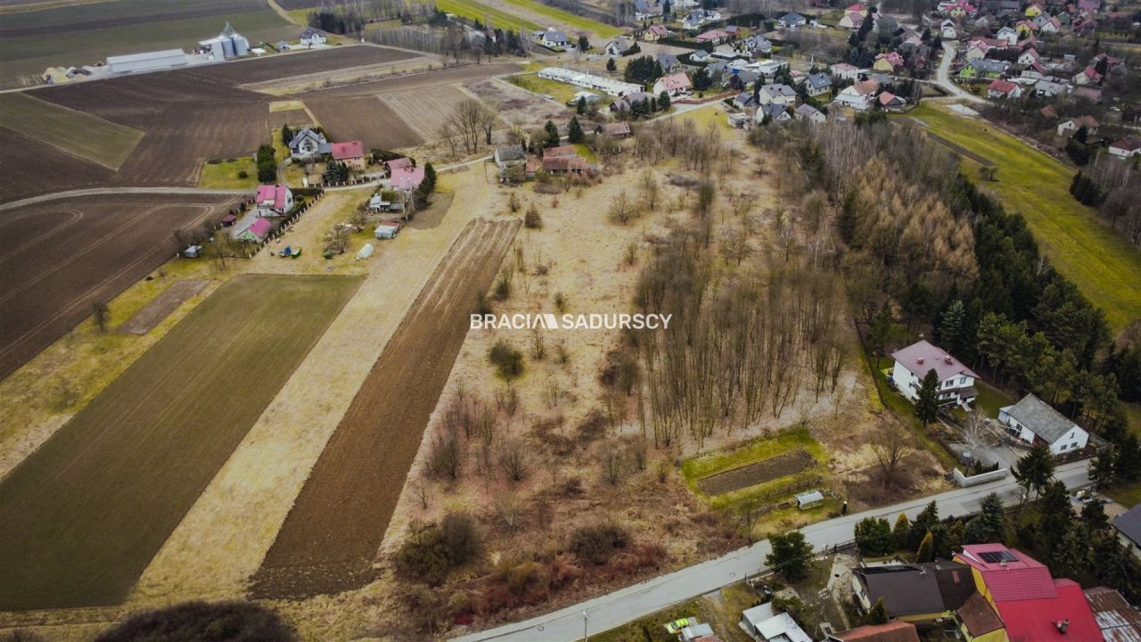 Działka rolna Wołowice. Zdjęcie 8