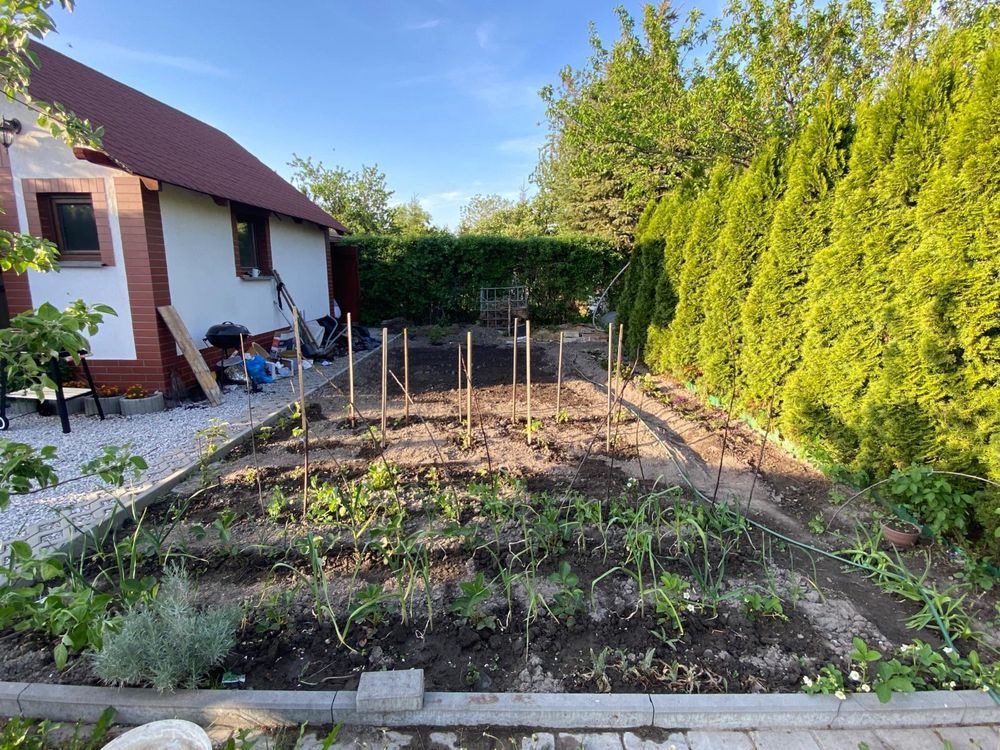 Działka rod Brzeg. Zdjęcie 3