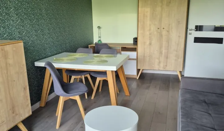 Mieszkanie 2-pokojowe Poznań Nowe Miasto, ul. Milczańska