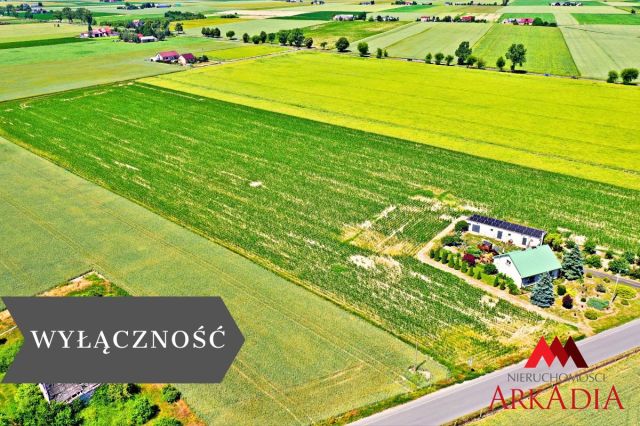 Działka Brzezie. Zdjęcie 2