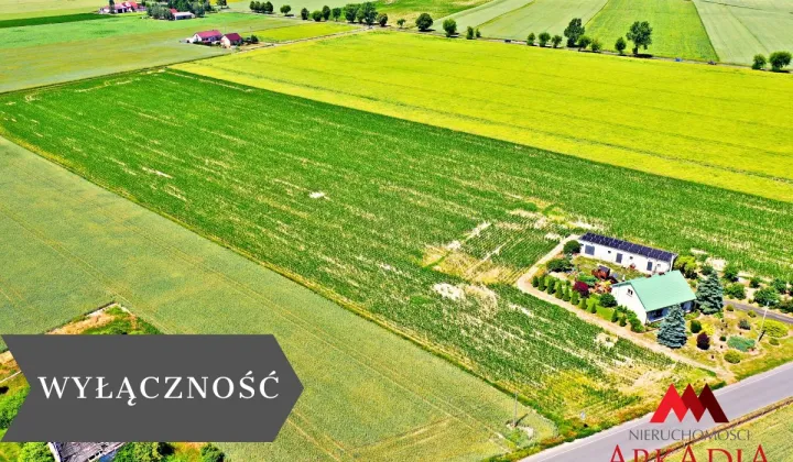 Działka Brzezie