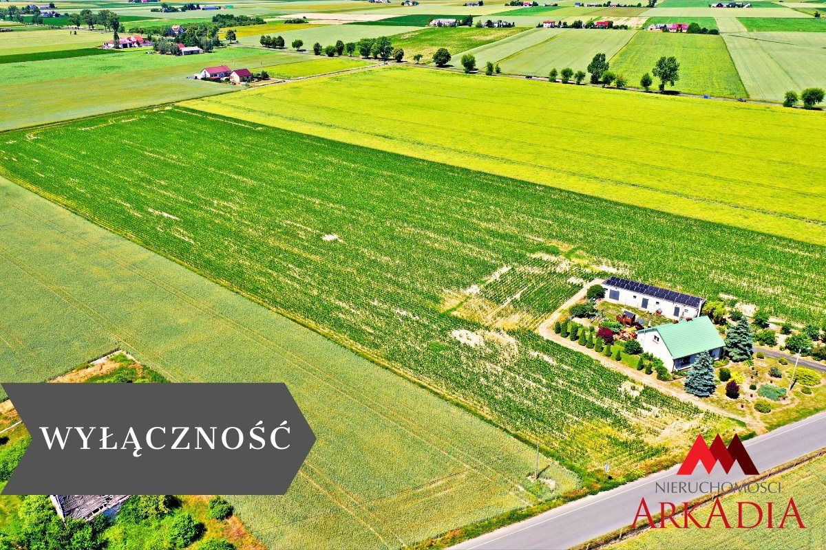 Działka Brzezie. Zdjęcie 2