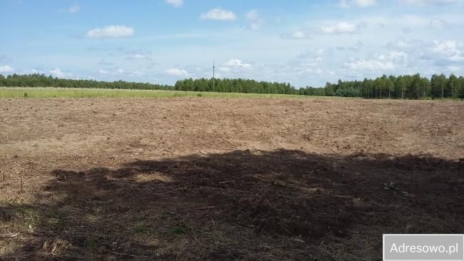 Działka budowlana Lisie Jamy. Zdjęcie 2