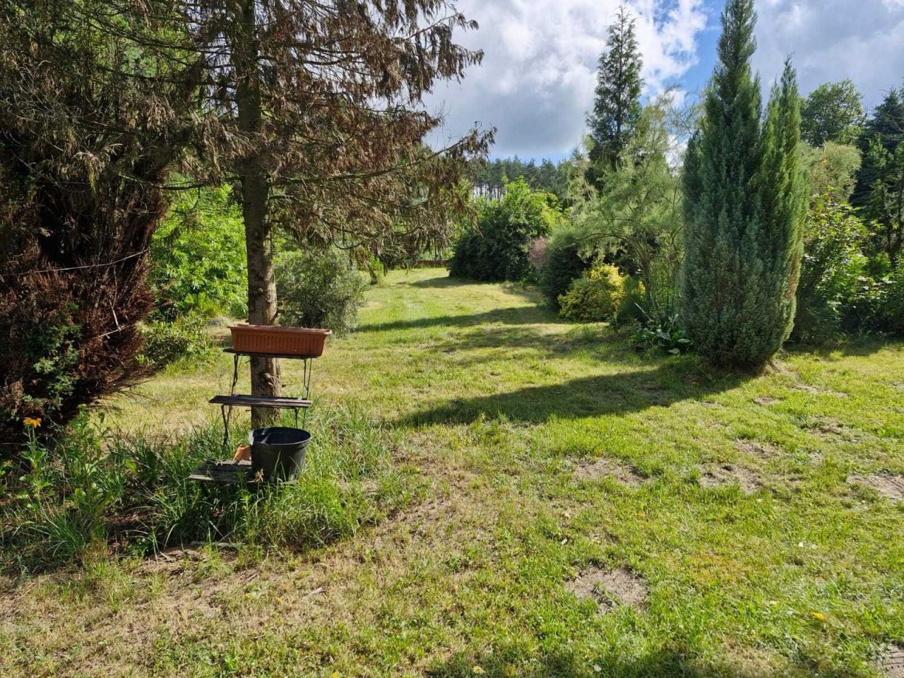 Działka rolna Nowy Świat. Zdjęcie 4