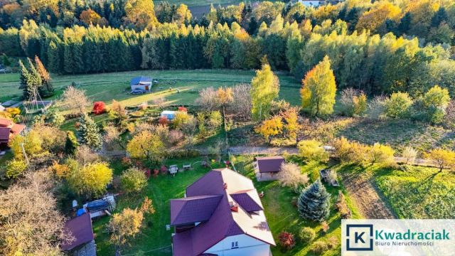 Działka budowlana Korczyna, ul. Leśna. Zdjęcie 13