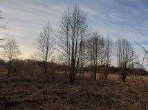 Działka rekreacyjna Wola Jabłońska. Zdjęcie 3