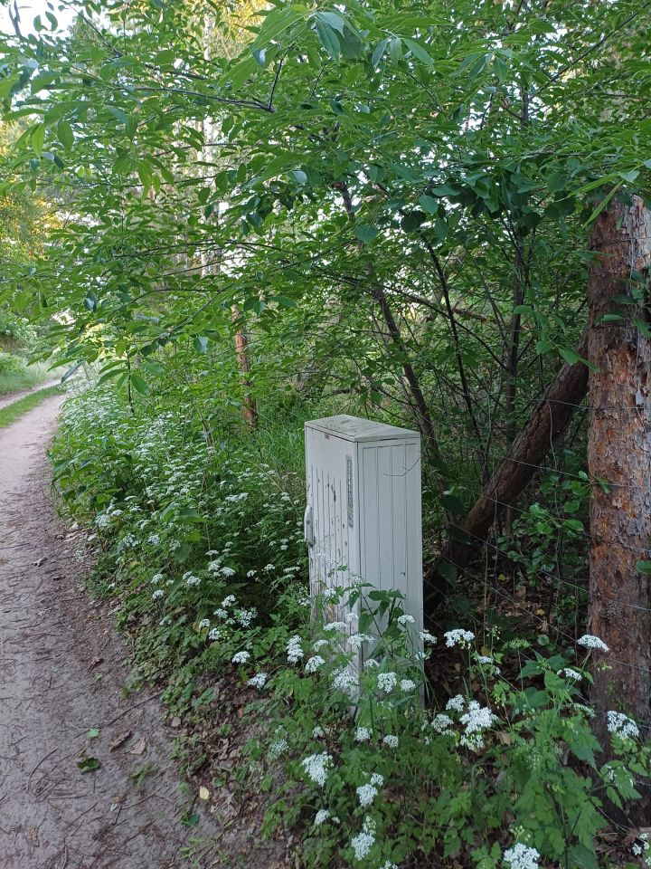 Działka budowlana Mokrzec. Zdjęcie 6