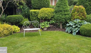 Działka rod Bełchatów, ul. Czapliniecka